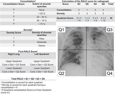 Accuracy of the Radiographic Assessment of Lung Edema Score for the Diagnosis of ARDS